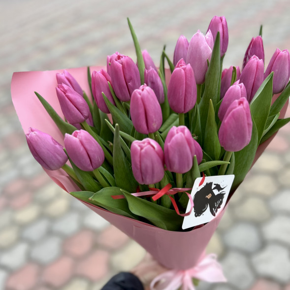 21 розовый тюльпан в хуторе Ленина